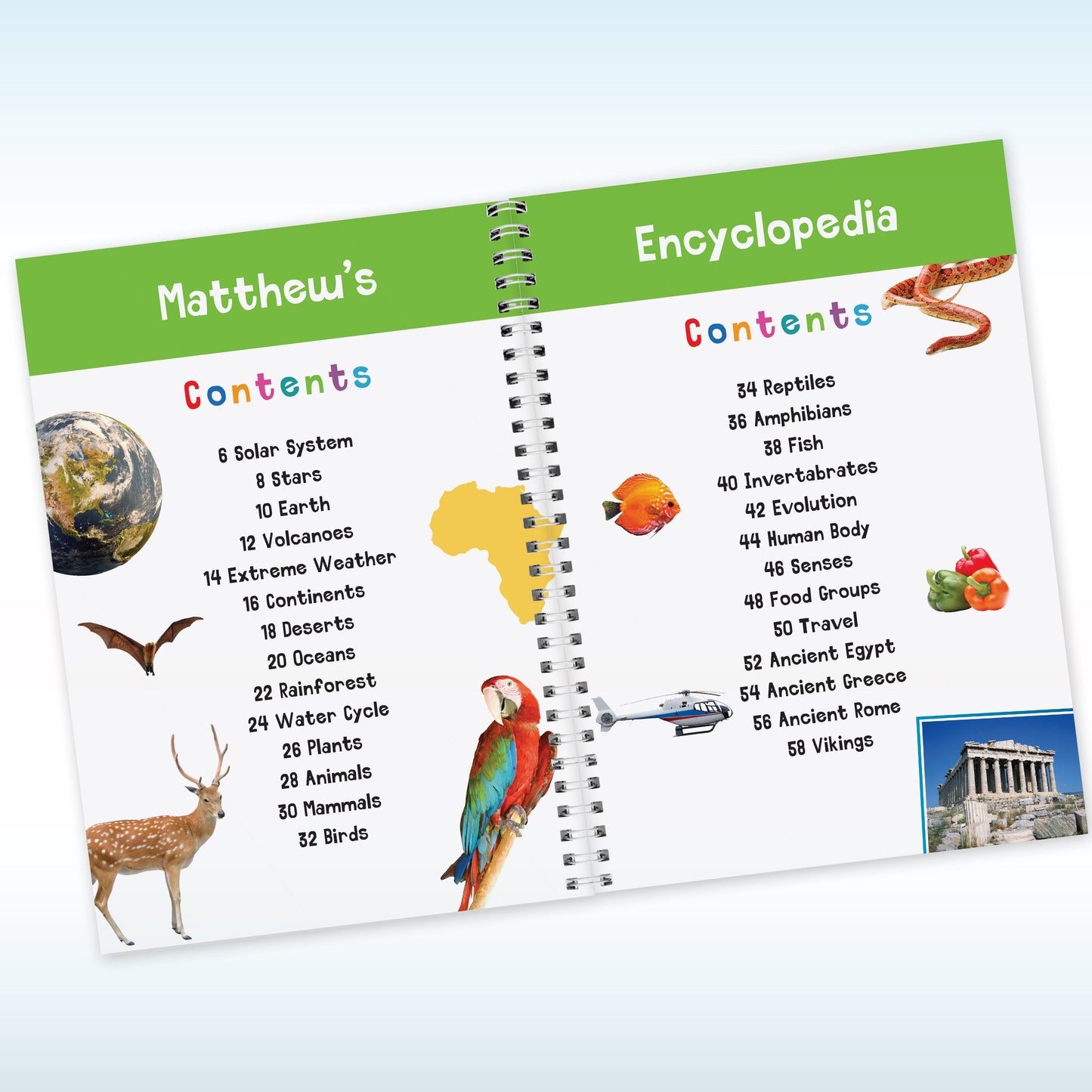 Personalised Childrens Encyclopedia: 4 - Books By Gift Moments