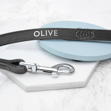Personalised Black Leather Dog Lead: 1 - Pet Products By Gift Moments