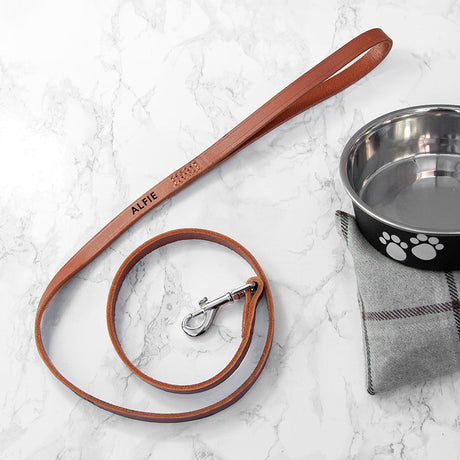 Personalised Brown Leather Dog Lead: 2 - Large - Pet Products By Gift Moments