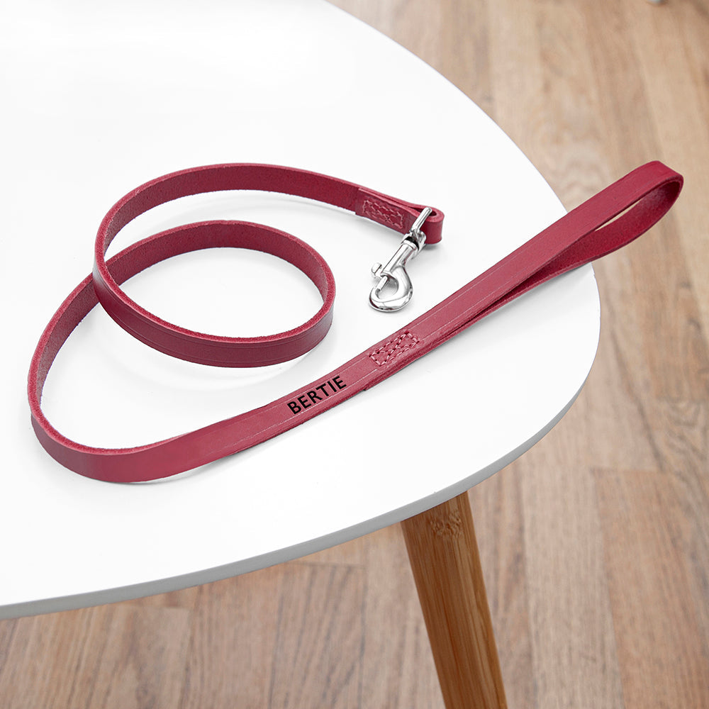 Personalised Classic Red Leather Dog Lead: 1 - Pet Products By Gift Moments