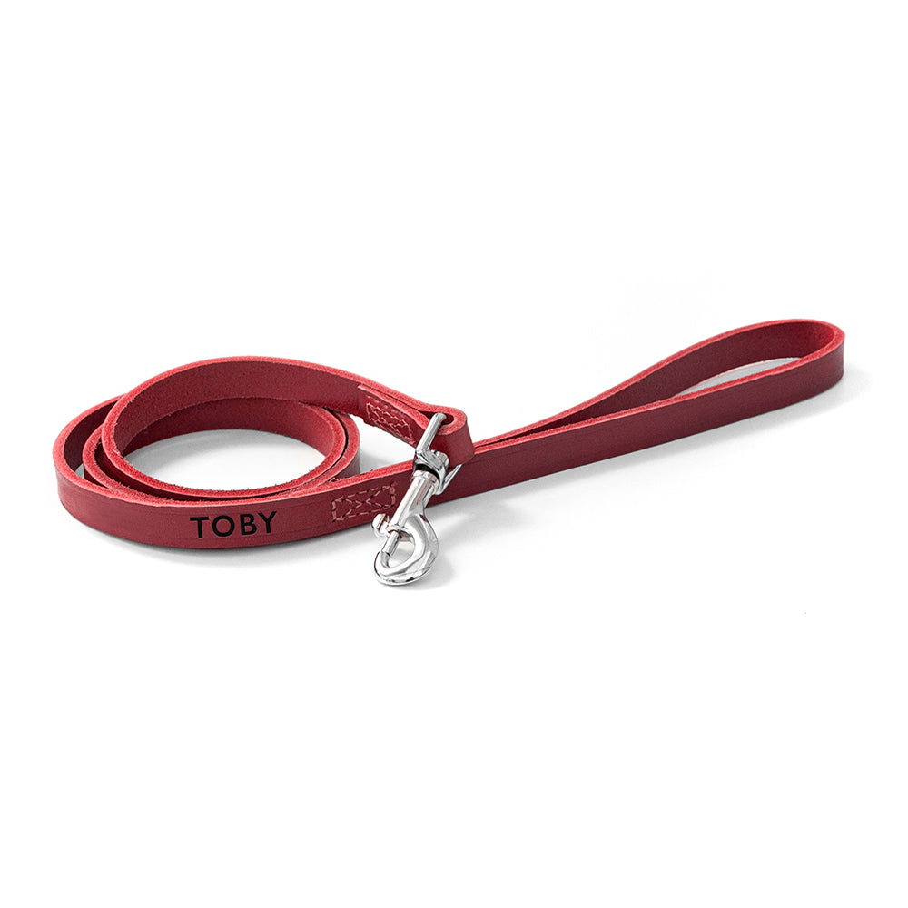Personalised Classic Red Leather Dog Lead: 5 - Pet Products By Gift Moments