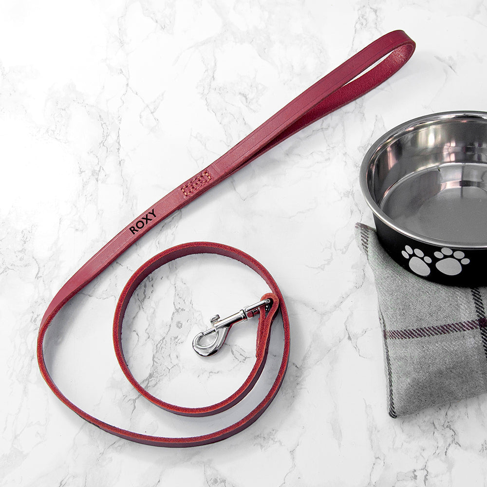 Personalised Classic Red Leather Dog Lead: 2 - Pet Products By Gift Moments