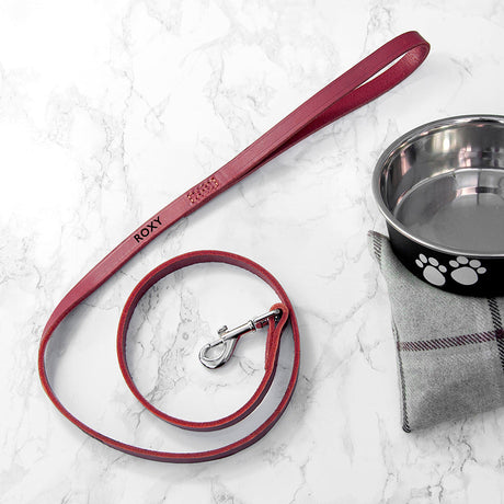 Personalised Red Leather Dog Lead: 2 - Pet Products By Gift Moments