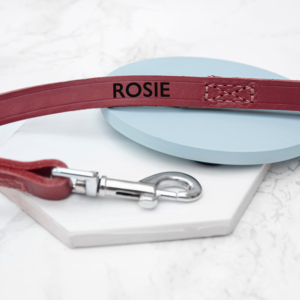 Personalised Red Leather Dog Lead: 3 - Pet Products By Gift Moments