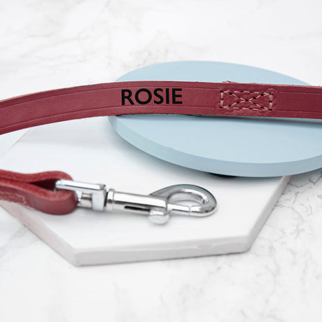 Personalised Red Leather Dog Lead: 3 - Pet Products By Gift Moments