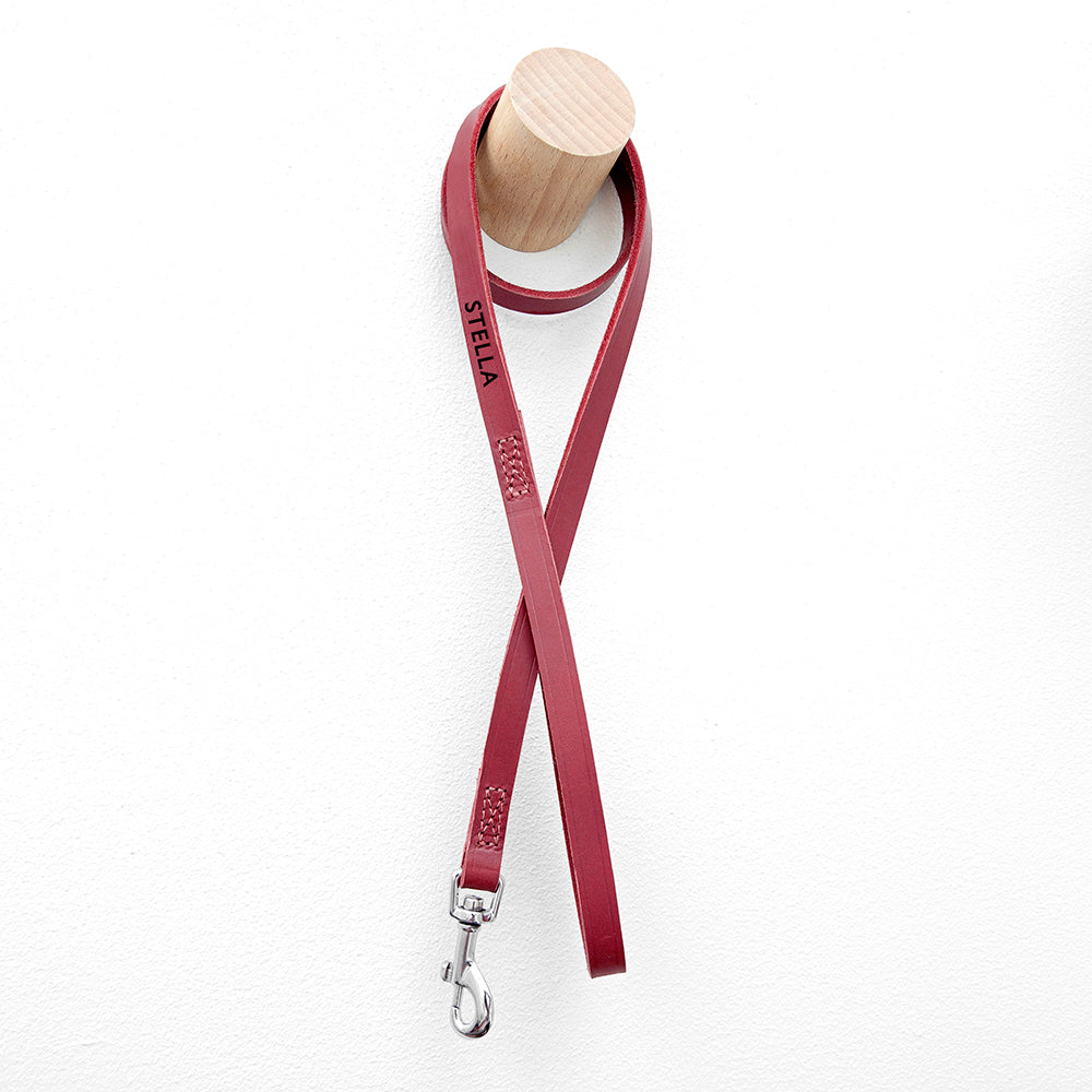 Personalised Classic Red Leather Dog Lead: 4 - Pet Products By Gift Moments