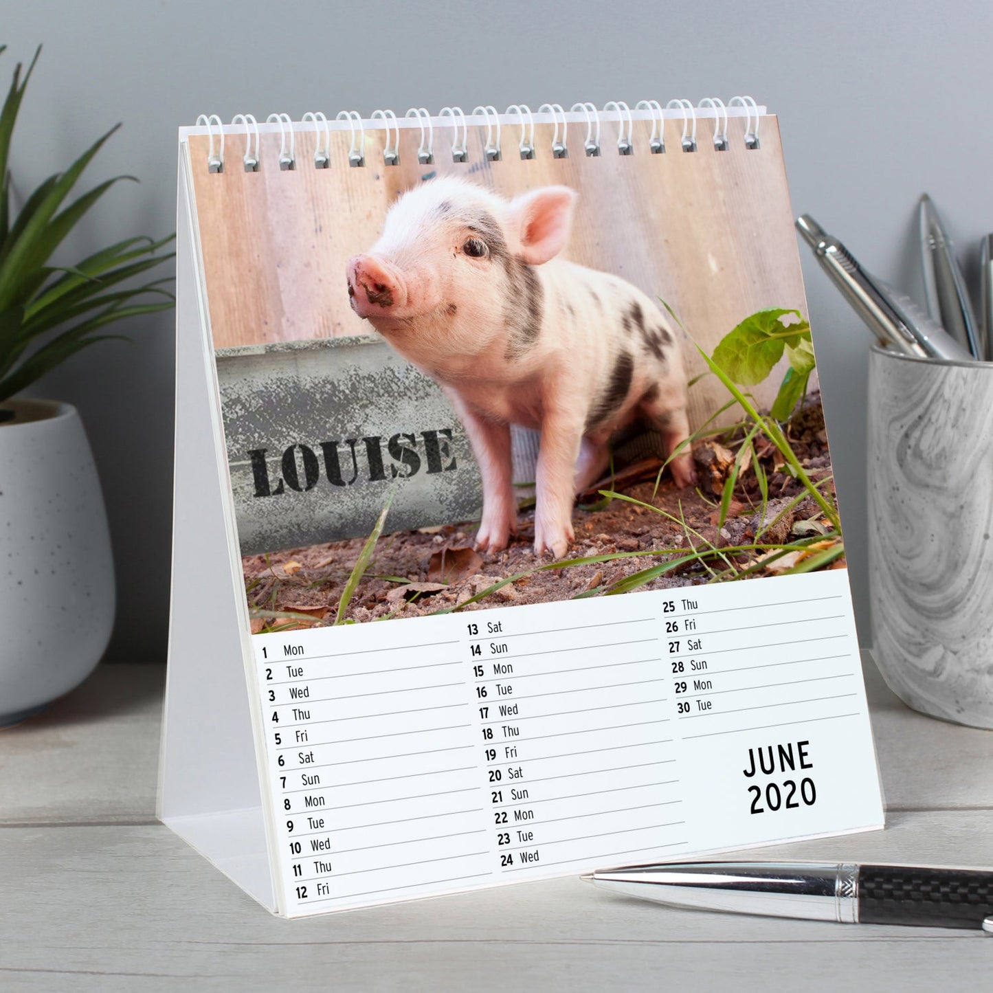 Personalised Cute Animals Desk Calendar: 2 - Calendars & Planners By Gift Moments