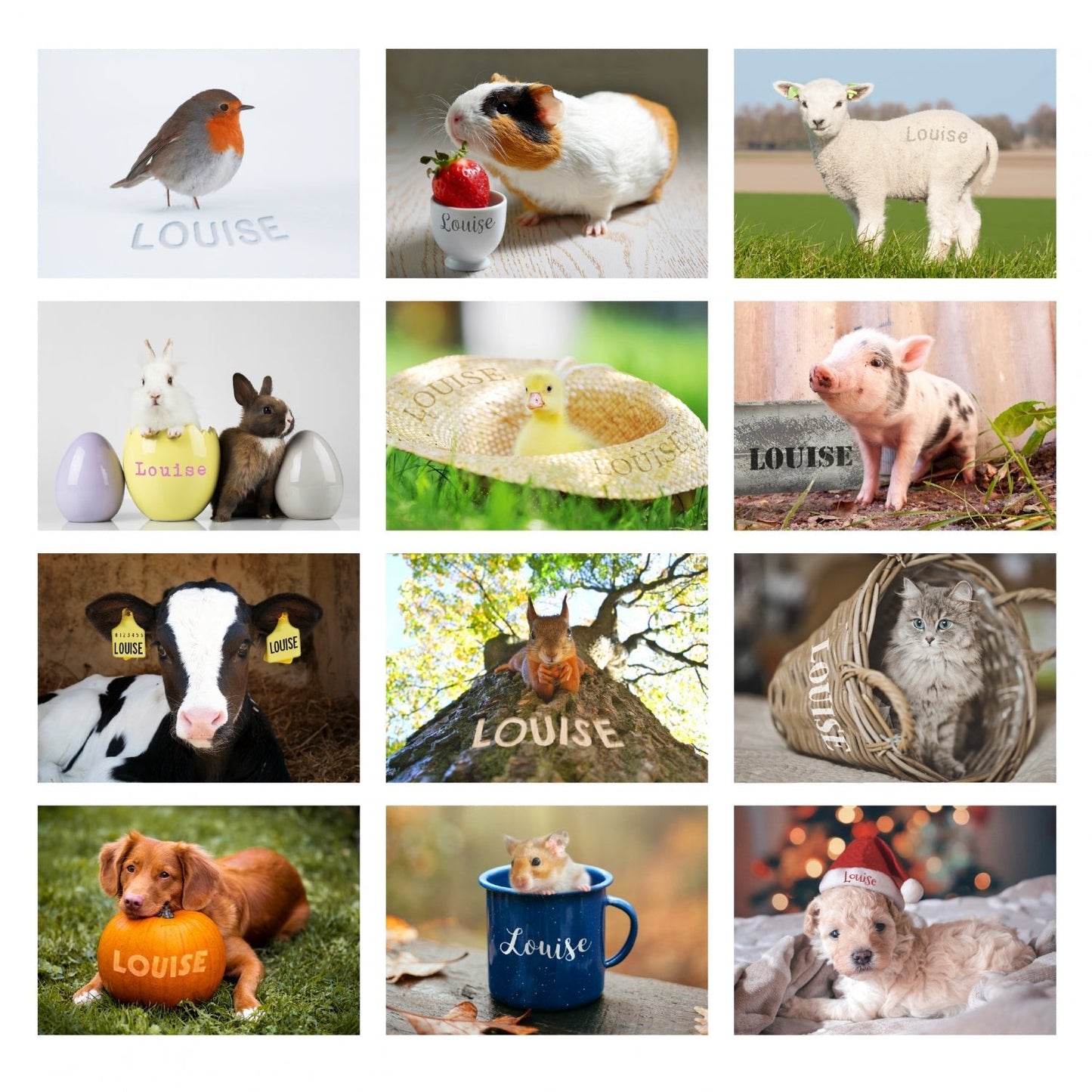 Personalised Cute Animals Desk Calendar: 6 - Calendars & Planners By Gift Moments