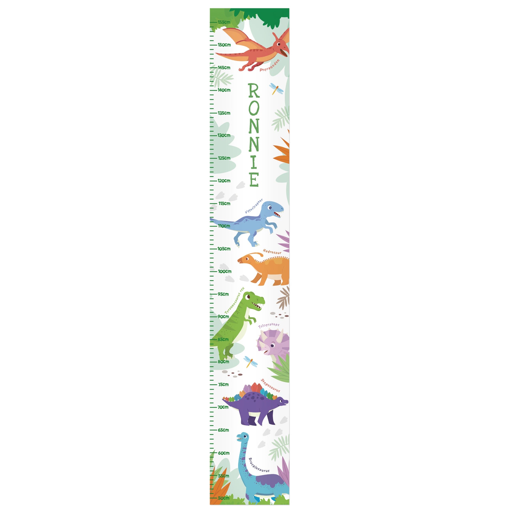 Personalised Dinosaur Height Chart: 4 - Height Charts By Gift Moments