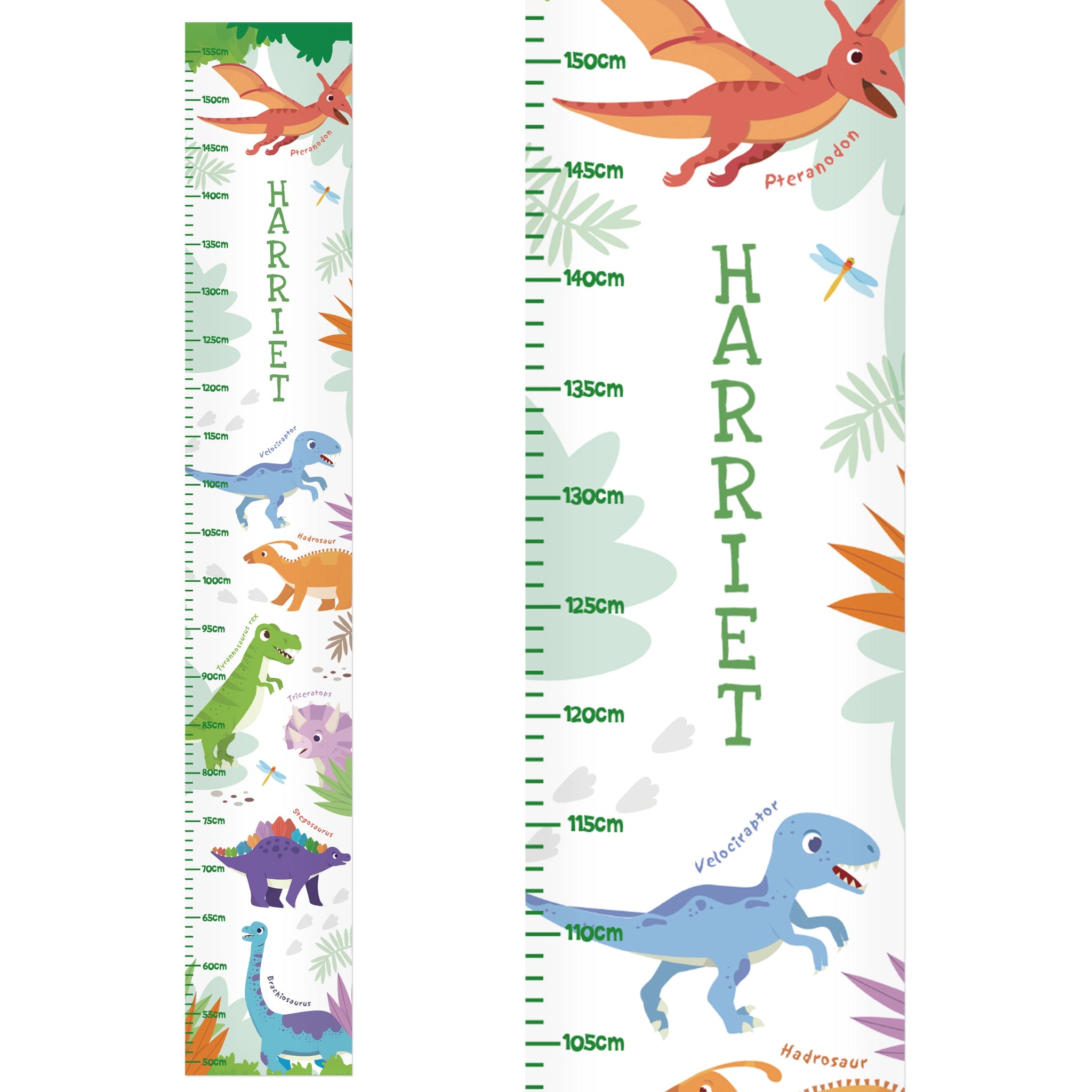 Personalised Dinosaur Height Chart: 5 - Height Charts By Gift Moments