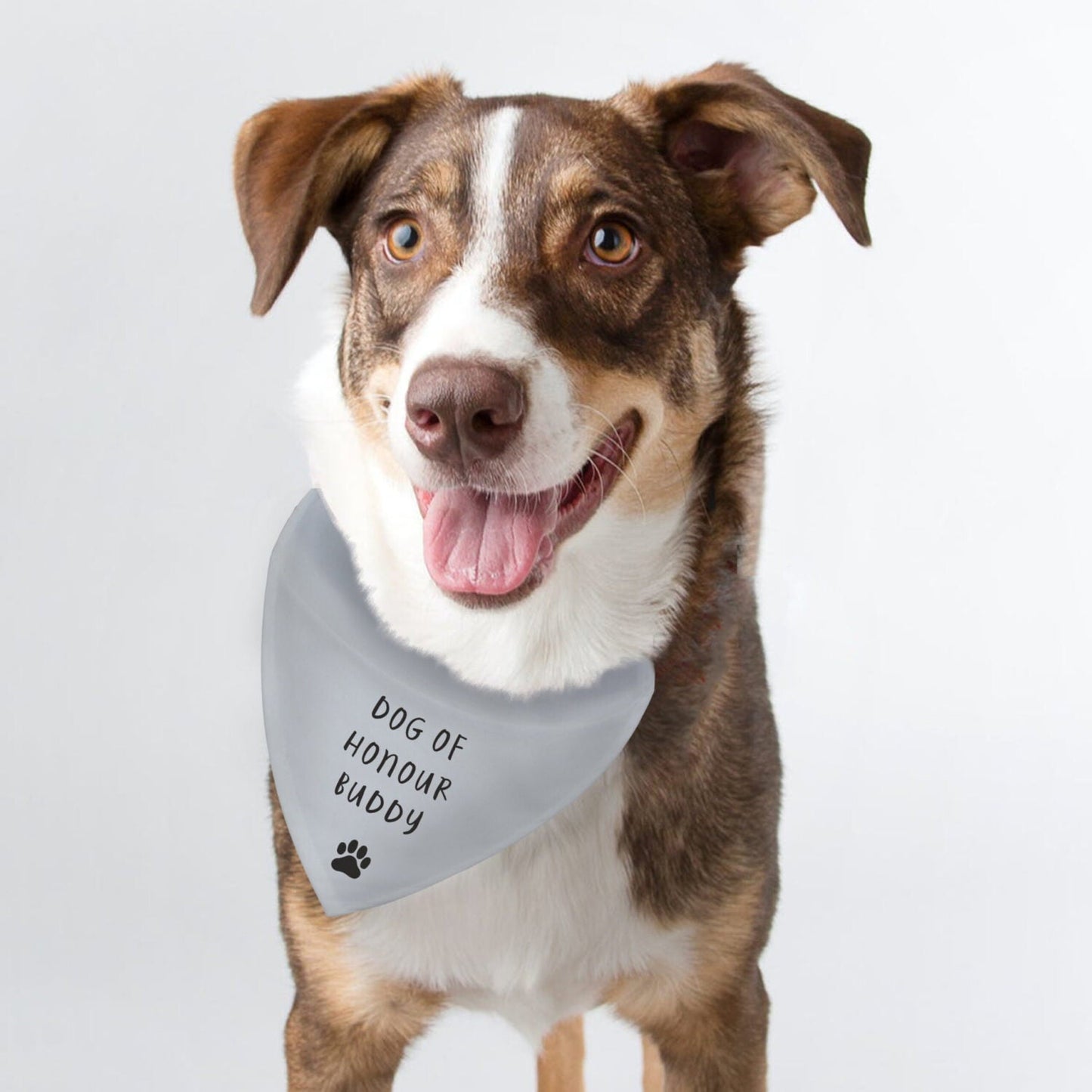 Personalised Dog Bandana: 2 - Pet Products By Gift Moments