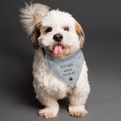 Personalised Dog Bandana: 3 - Pet Products By Gift Moments