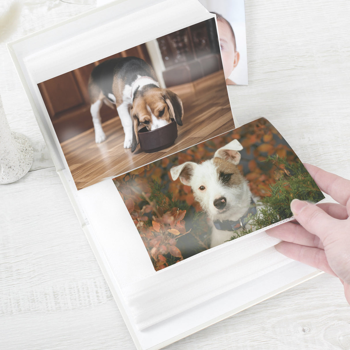 Personalised Dogs 6x4 Photo Album with Sleeves: 7 Photo Albums By Gift Moments