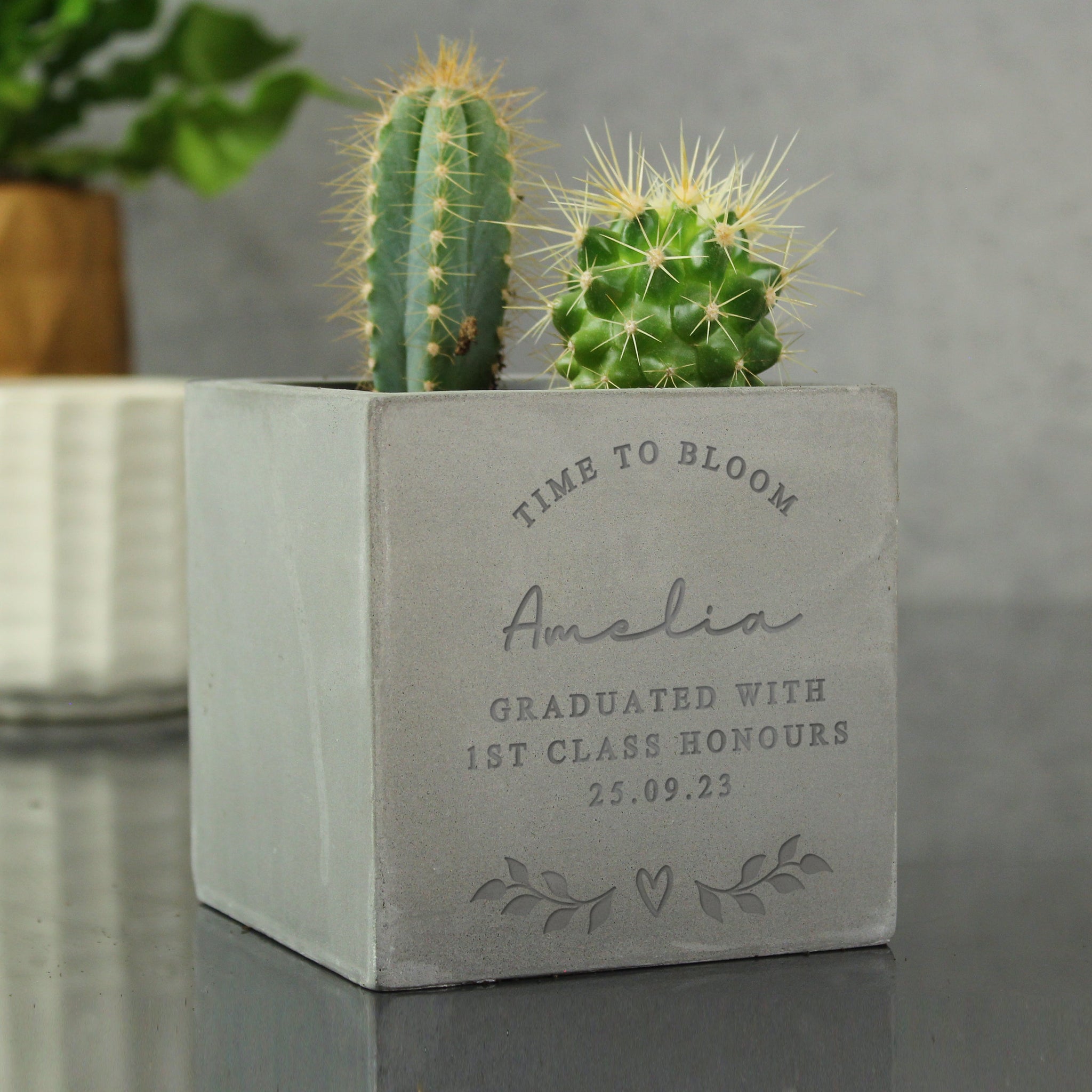 Personalised Free Text Concrete Plant Pot: 2 - Pots & Planters By Gift Moments