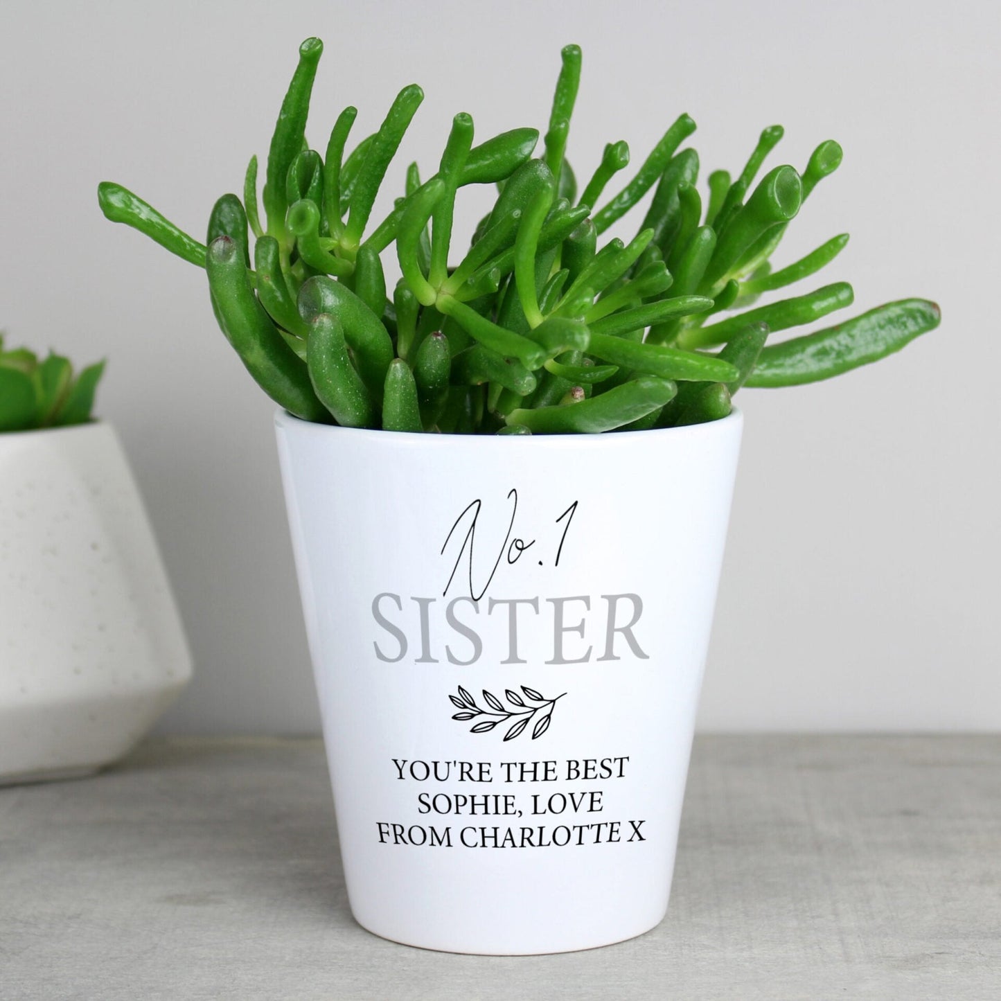 Personalised Free Text Plant Pot: 5 - Pots & Planters By Gift Moments