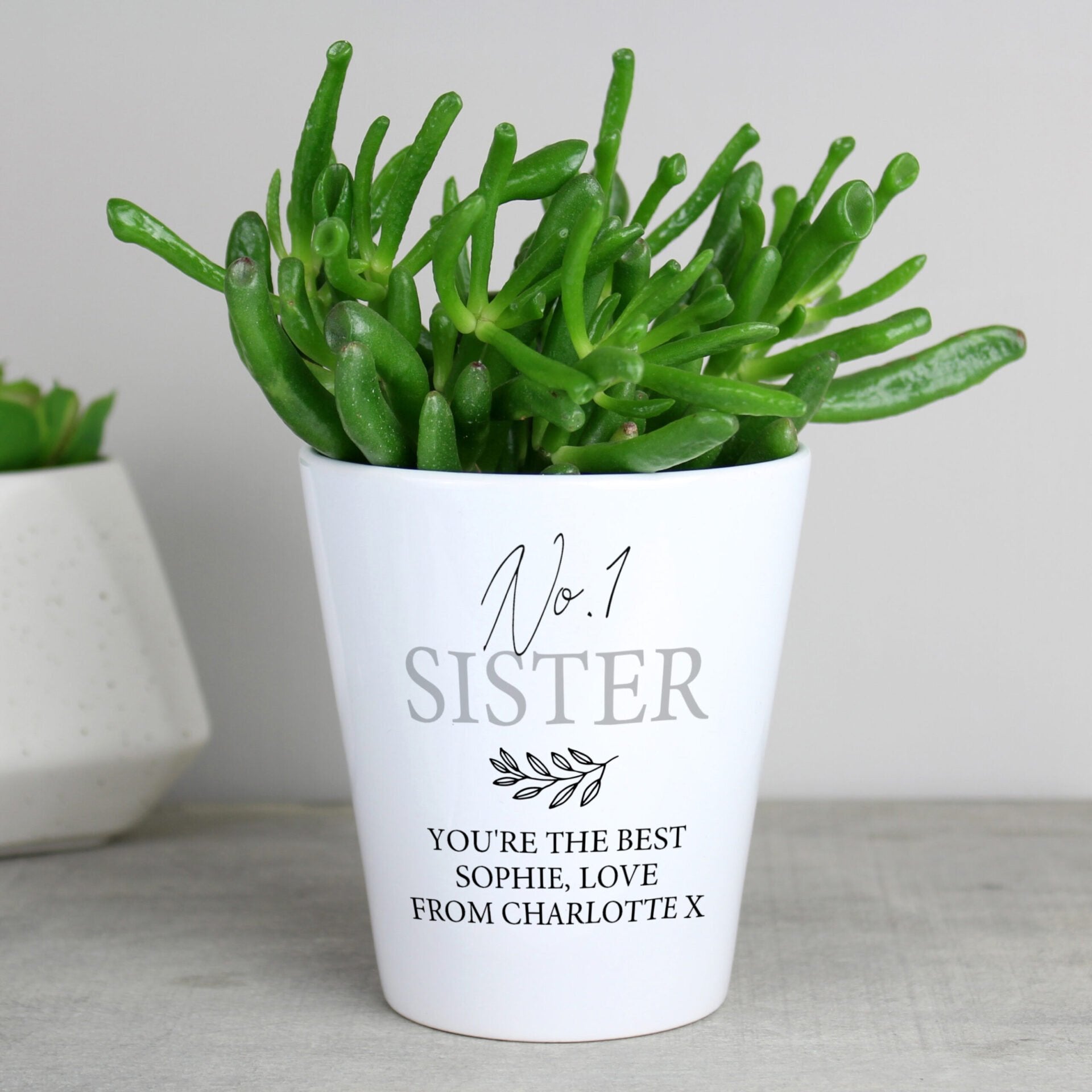 Personalised Free Text Plant Pot: 5 - Pots & Planters By Gift Moments