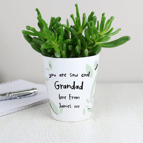 Personalised Free Text Plant Pot: 2 - Pots & Planters By Gift Moments