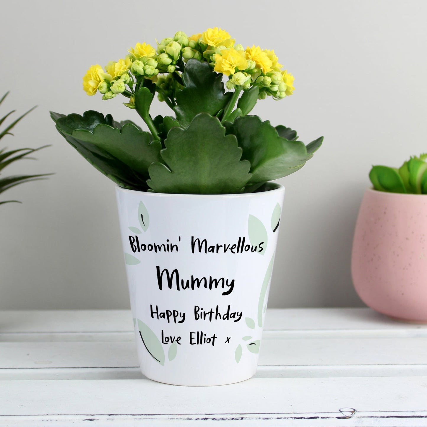 Personalised Free Text Plant Pot: 3 - Pots & Planters By Gift Moments
