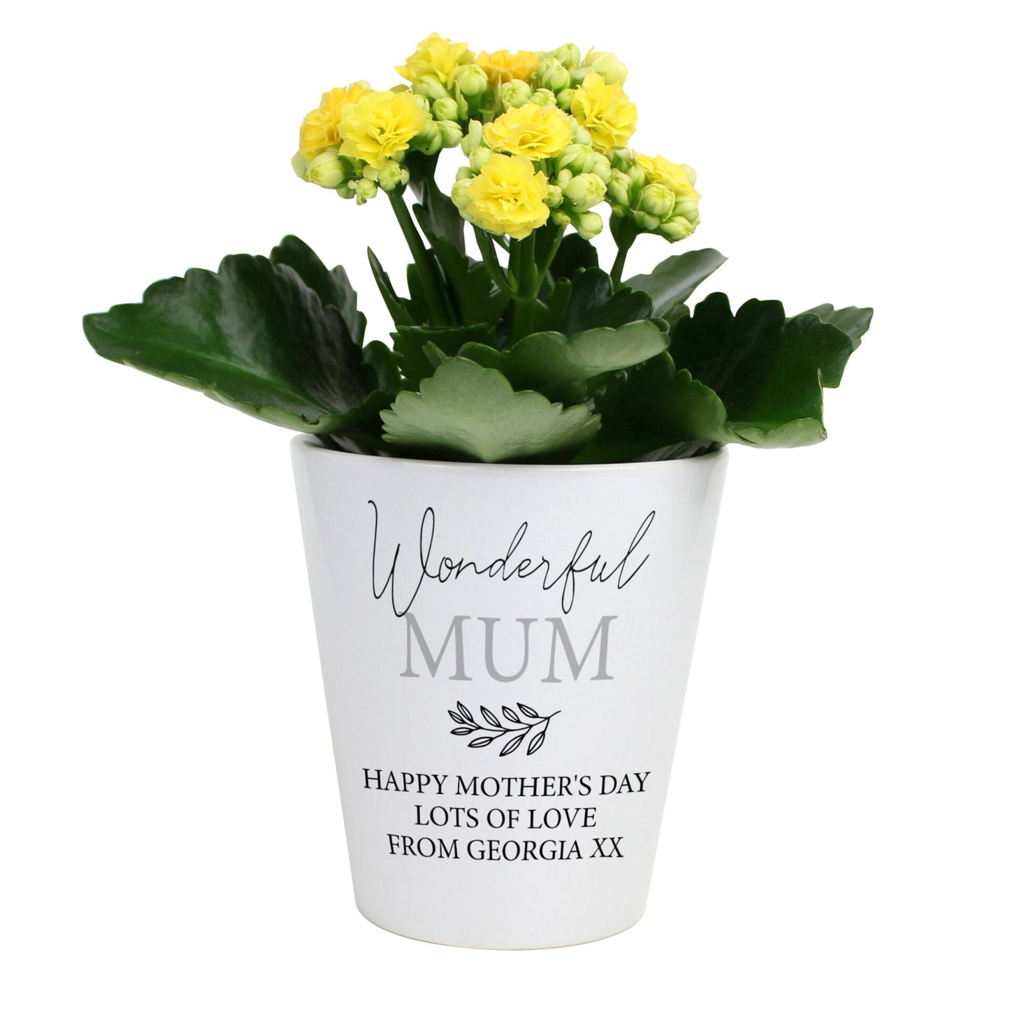 Personalised Free Text Plant Pot: 7 - Pots & Planters By Gift Moments