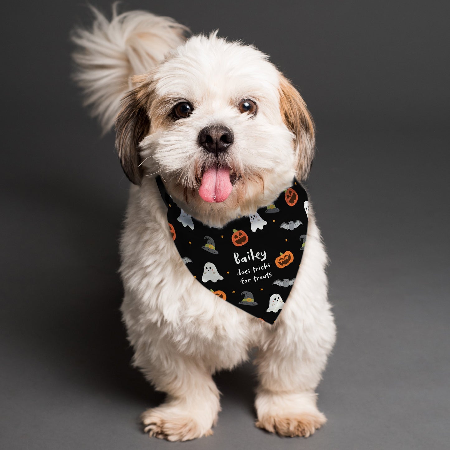 Personalised Halloween Dog Bandana: 1 - Pet Products By Gift Moments