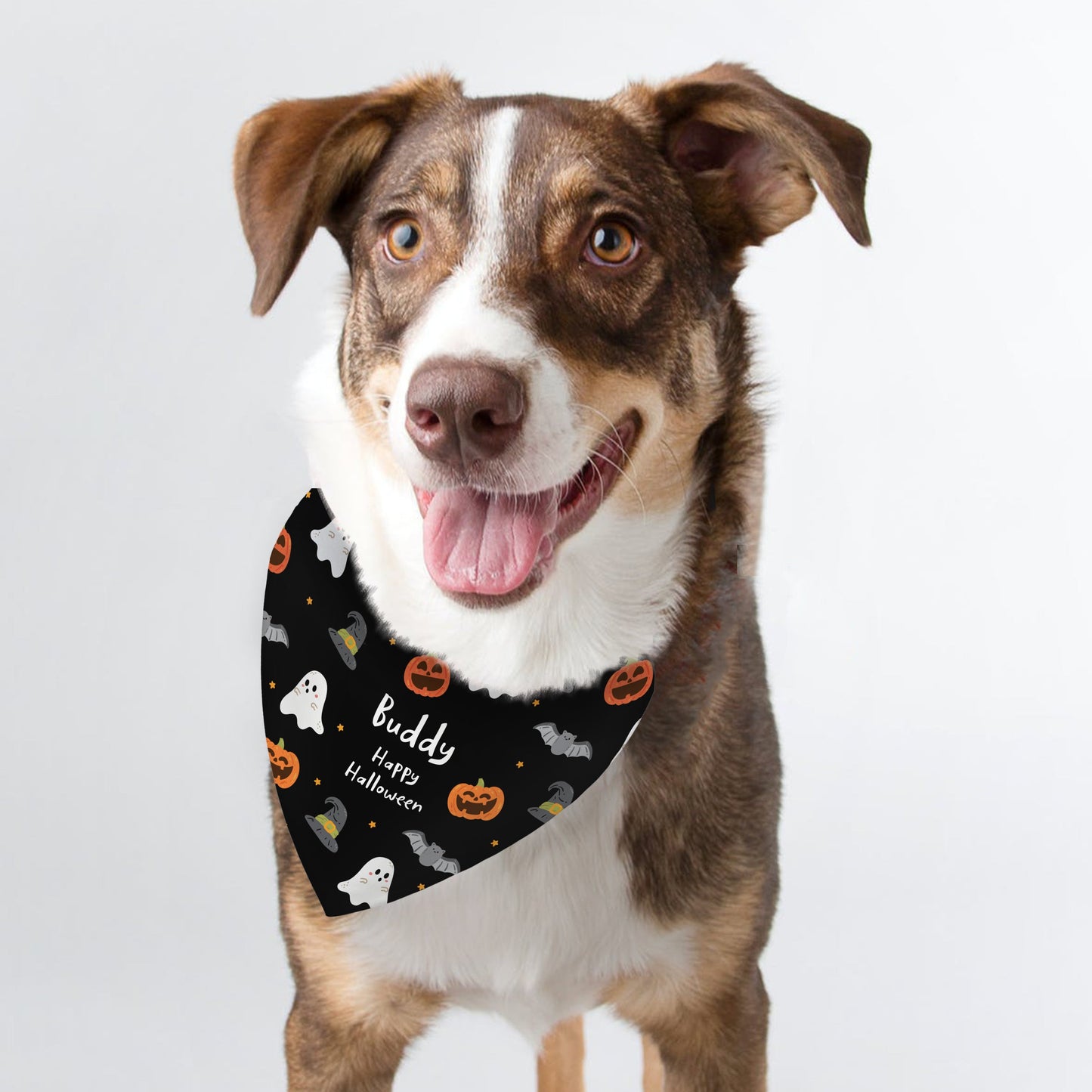 Personalised Halloween Dog Bandana: 2 - Pet Products By Gift Moments
