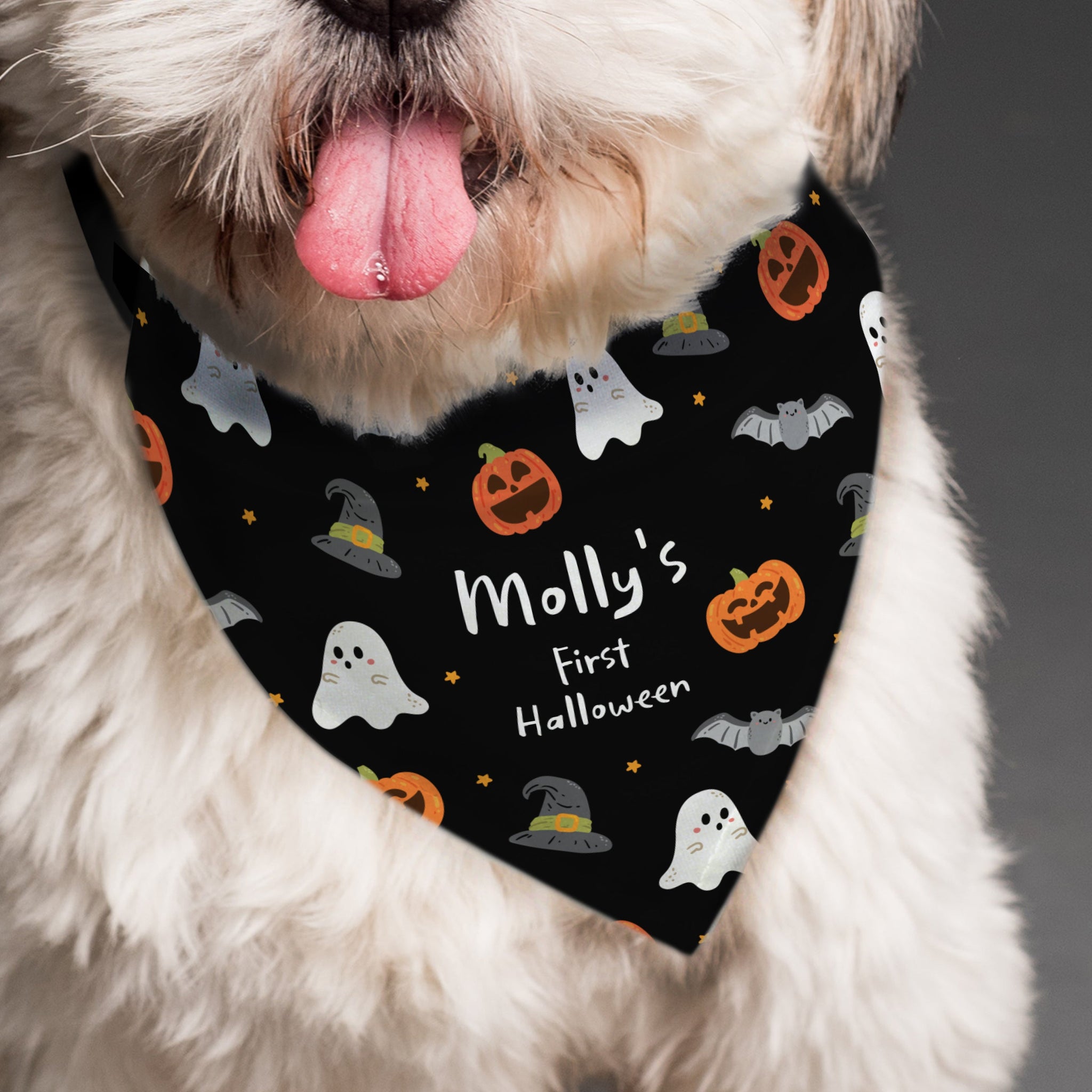 Personalised Halloween Dog Bandana: 4 - Pet Products By Gift Moments