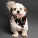 Personalised Halloween Dog Bandana: 3 - Pet Products By Gift Moments