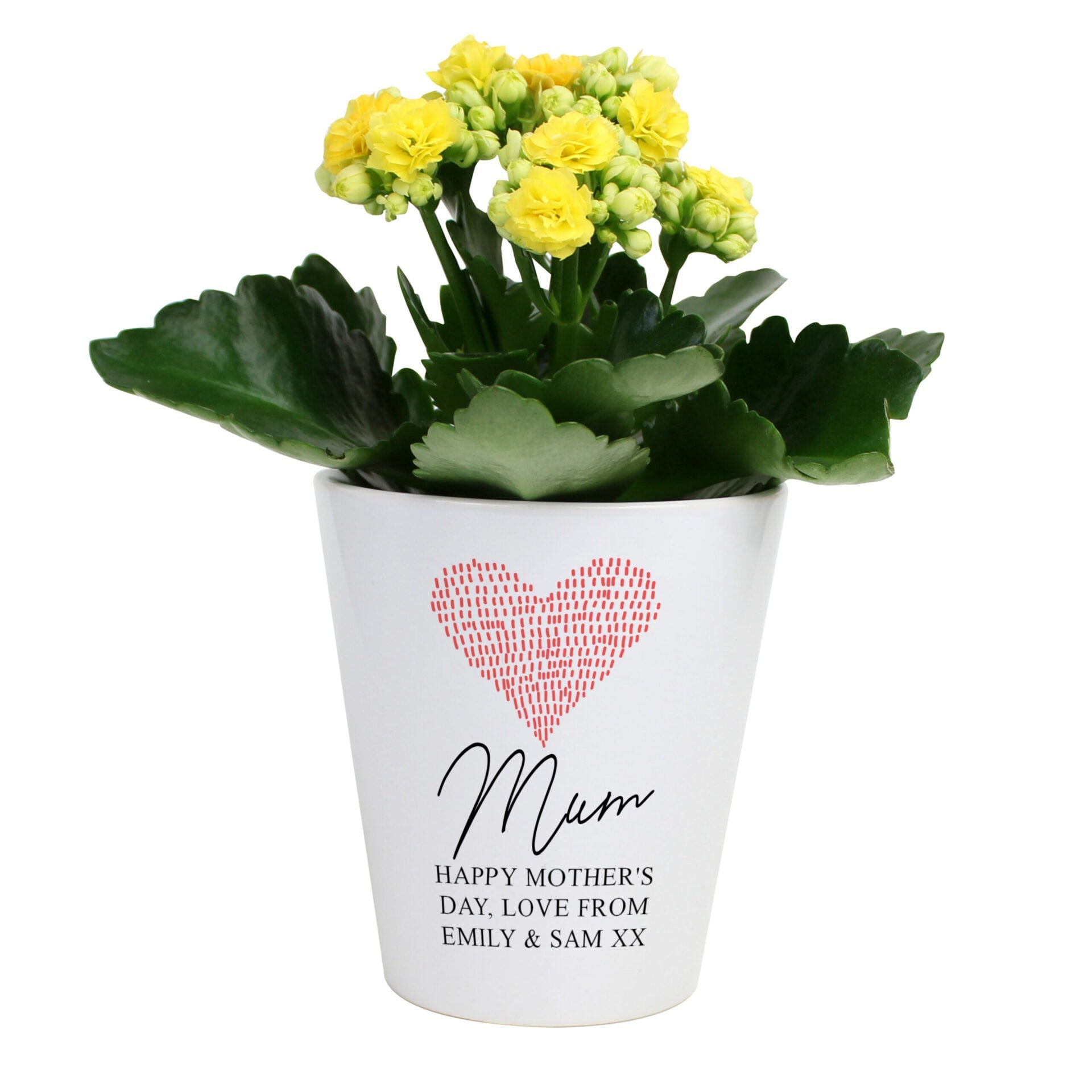 Personalised Heart Plant Pot: 4 - Pots & Planters By Gift Moments