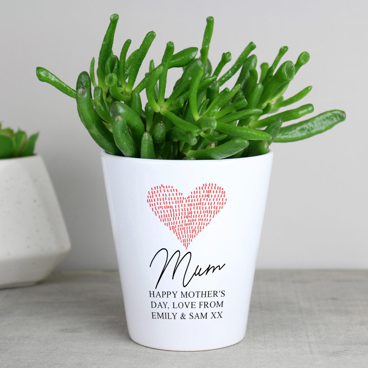 Personalised Heart Plant Pot: 3 Pots & Planters By Gift Moments