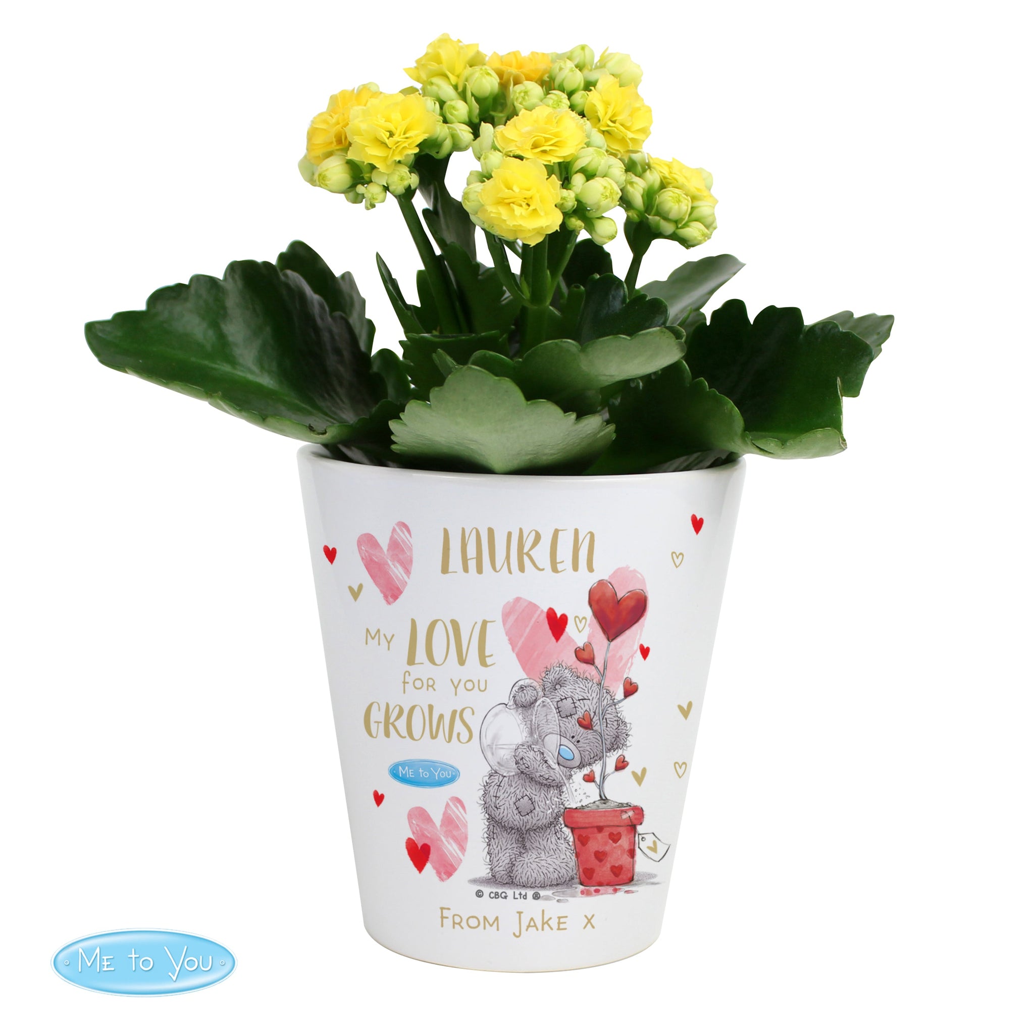 Personalised Me To You Love Grows Plant Pot: 4 - Pots & Planters