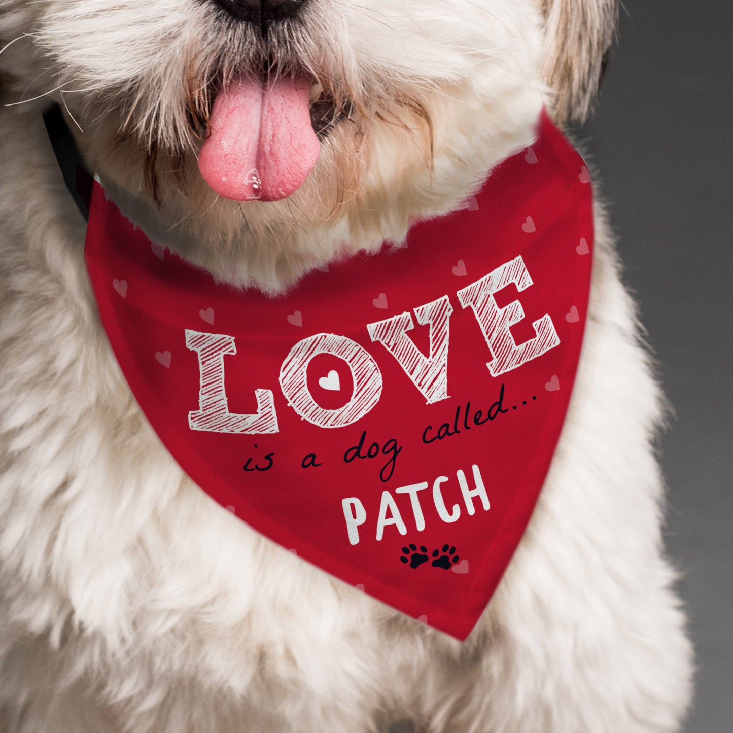 Personalised Love is... Dog Bandana: 2 - Pet Products By Gift Moments