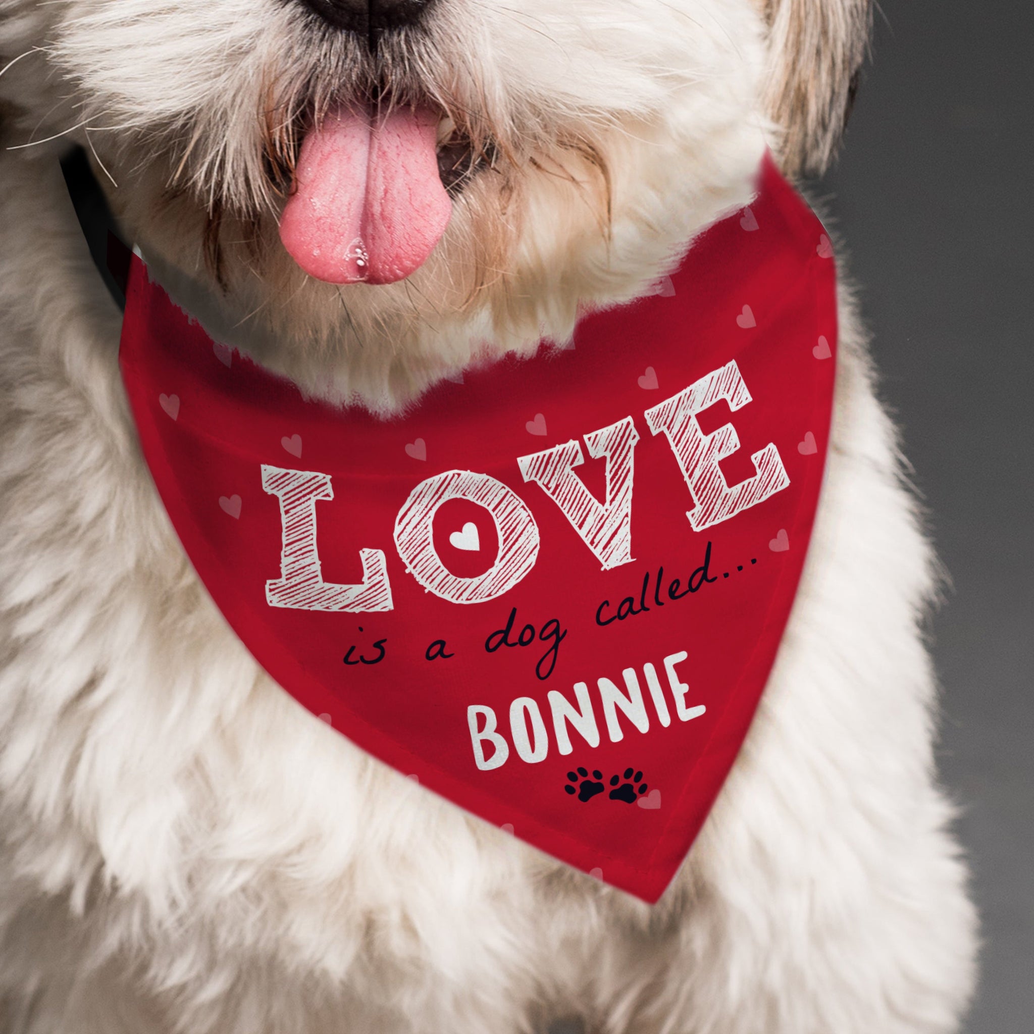 Personalised Love is... Dog Bandana: 4 - Pet Products By Gift Moments