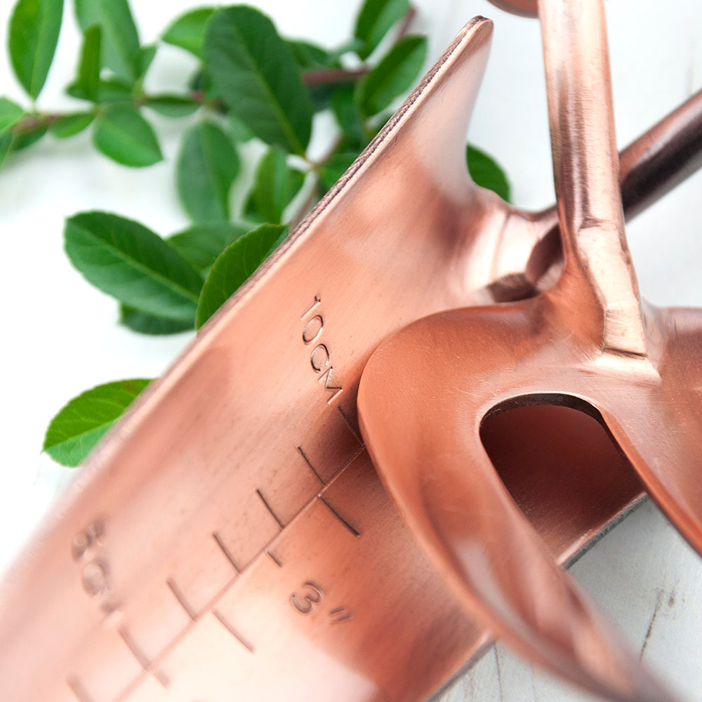 Personalised Luxe Copper Trowel and Fork Set: 5 - Tools & Storage By Gift Moments