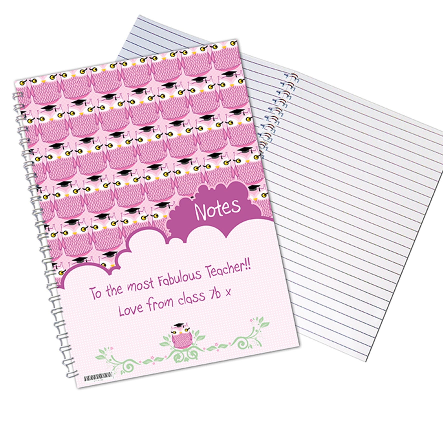 Personalised Miss Owl Teacher A5 Notebook: 2 - Notebooks By Gift Moments