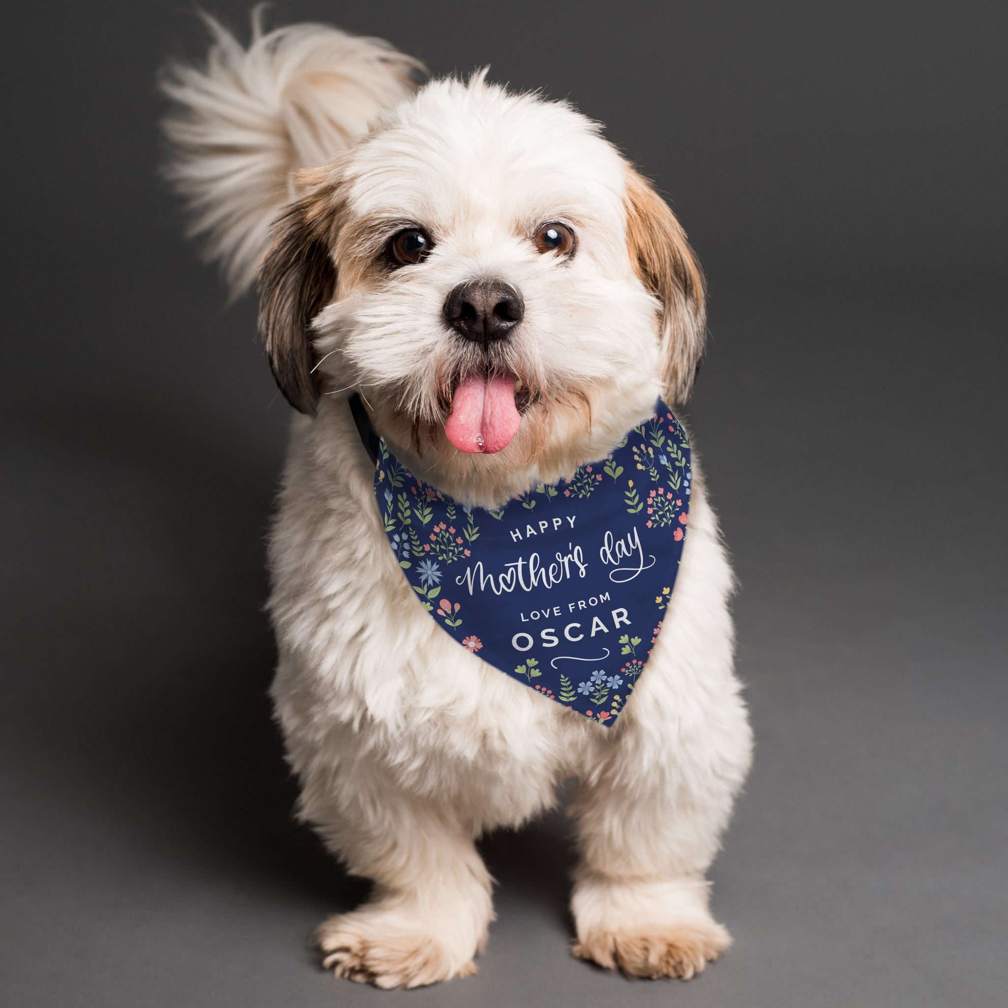 Personalised Mothers Day Dog Bandana: 1 - Pet Products By Gift Moments