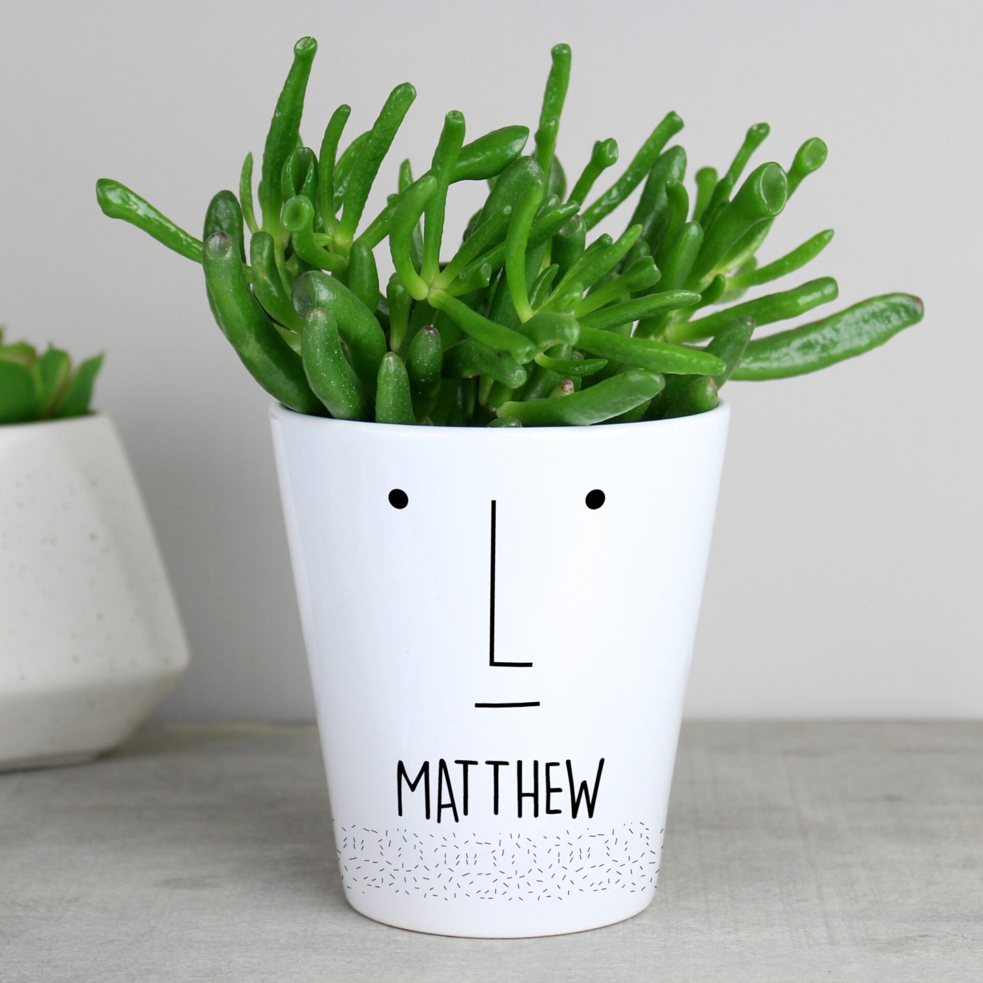 Personalised ’Mr Face’ Plant Pot: 1 - Pots & Planters By Gift Moments