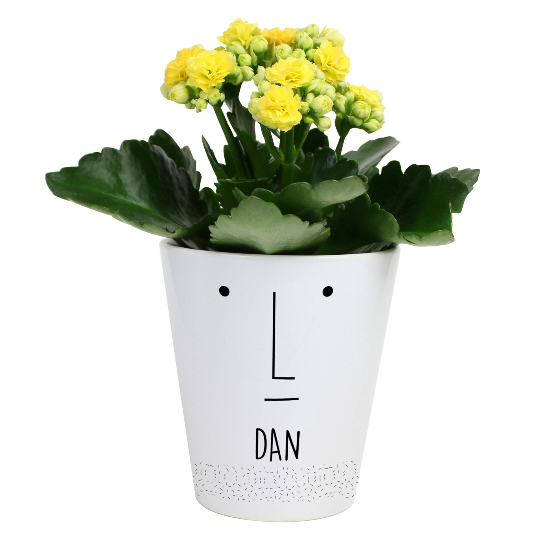 Personalised ’Mr Face’ Plant Pot: 4 - Pots & Planters By Gift Moments