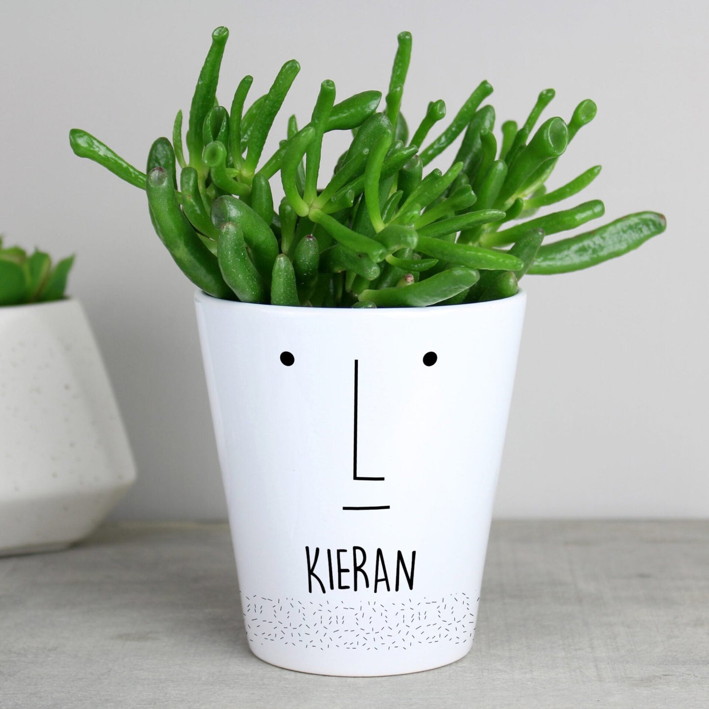 Personalised ’Mr Face’ Plant Pot: 3 - Pots & Planters By Gift Moments