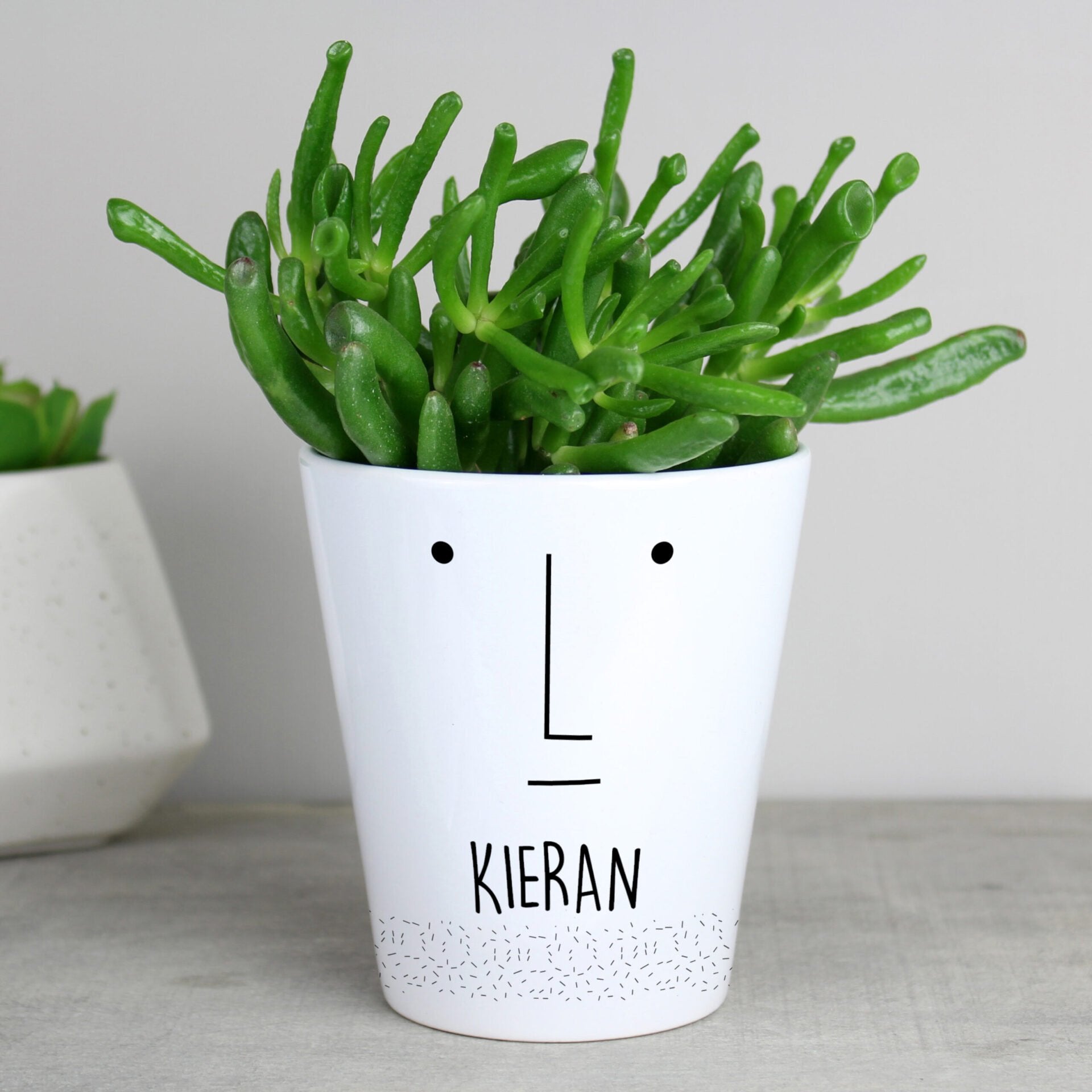 Personalised ’Mr Face’ Plant Pot: 3 - Pots & Planters By Gift Moments