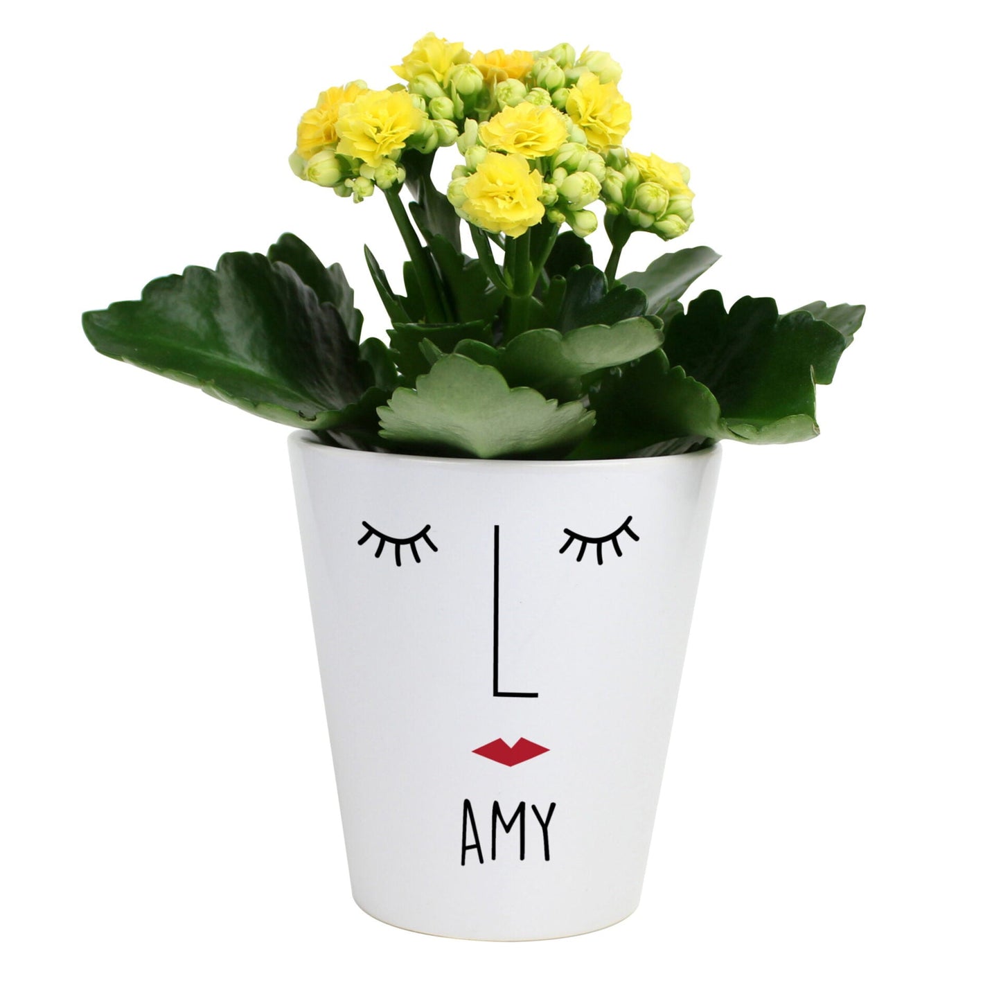Personalised ’Mrs Face’ Plant Pot: 4 - Pots & Planters By Gift Moments