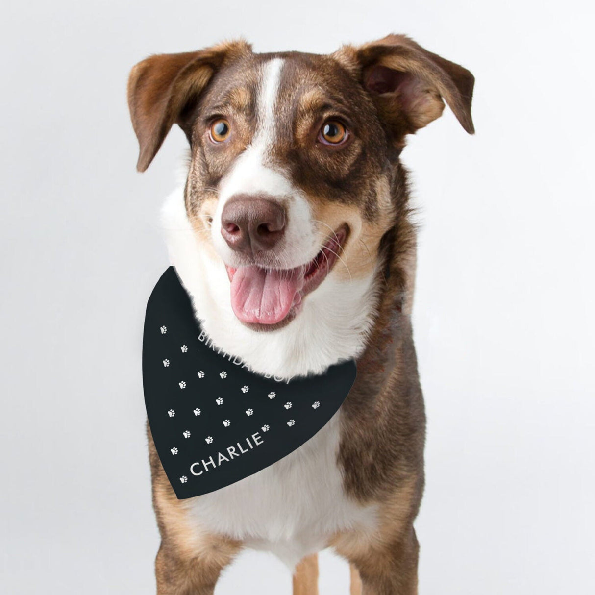 Personalised Prince Paw Print Dog Bandana: 2 - Pet Products By Gift Moments