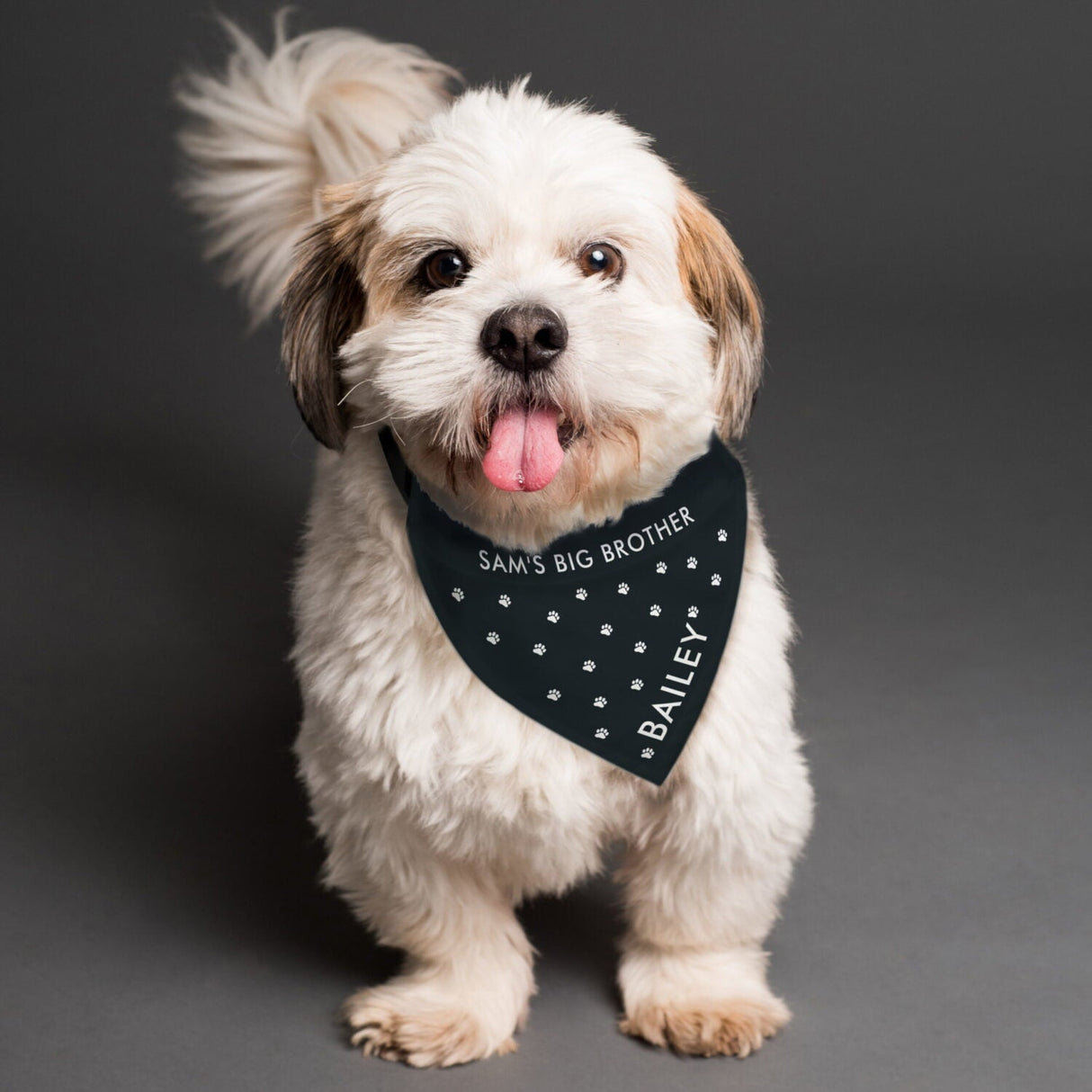 Personalised Prince Paw Print Dog Bandana: 3 - Pet Products By Gift Moments