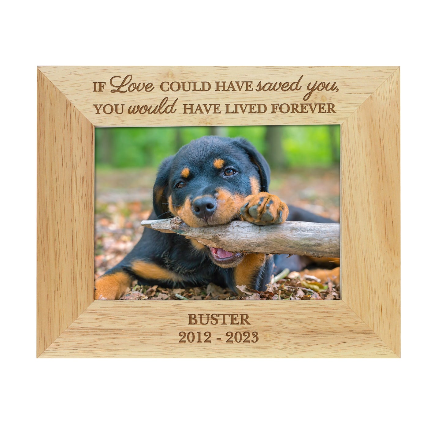 Personalised Pet Memorial 6x4 Photo Frame: 4 - Photo Frames By Gift Moments