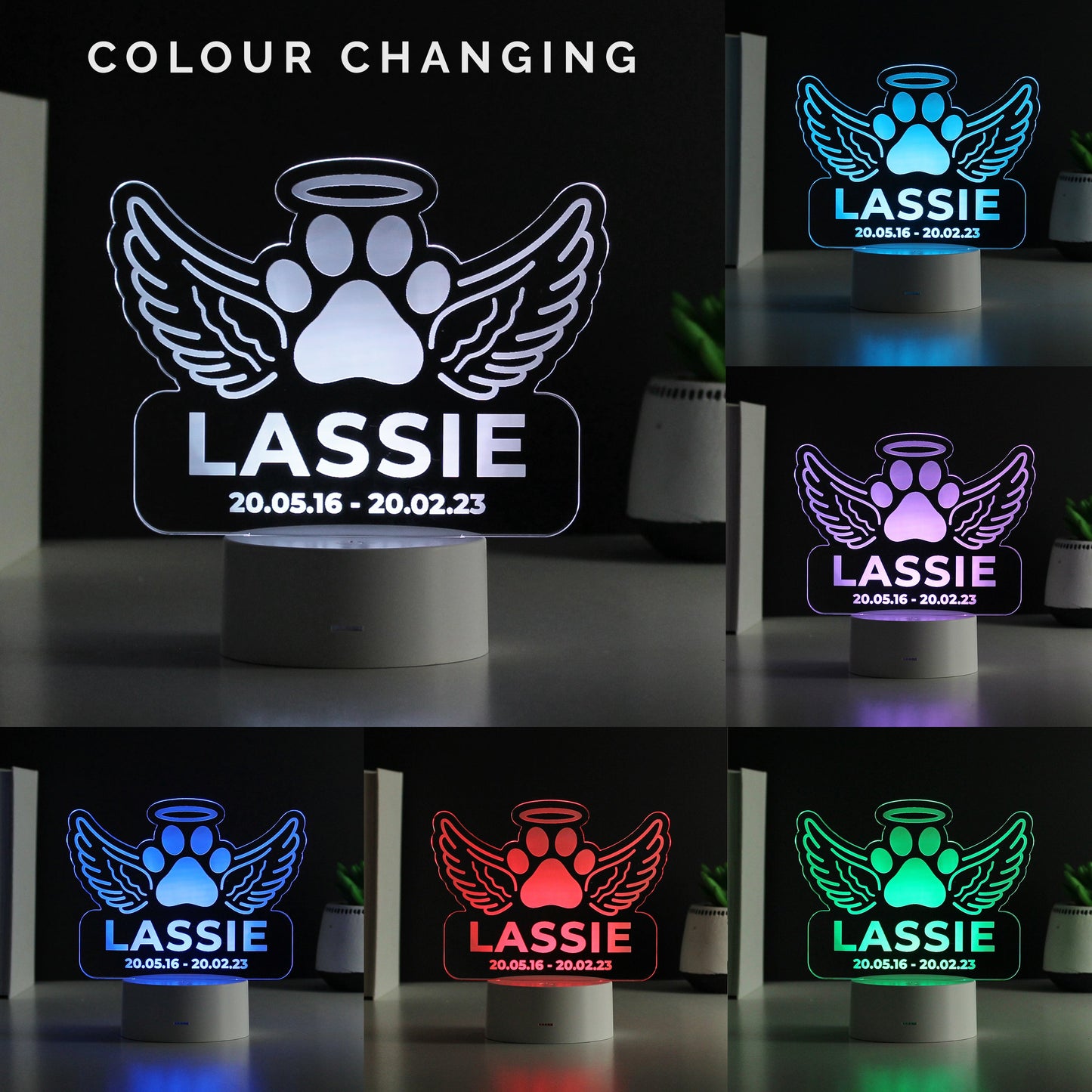 Personalised Pet Memorial Colour Changing LED Light: 2 - LED Lighting By Gift Moments
