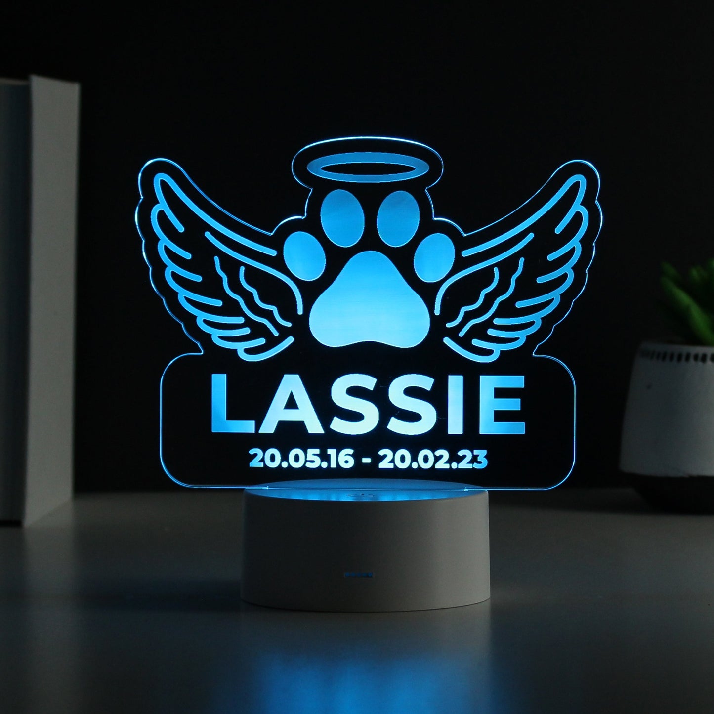 Personalised Pet Memorial Colour Changing LED Light: 6 - LED Lighting By Gift Moments