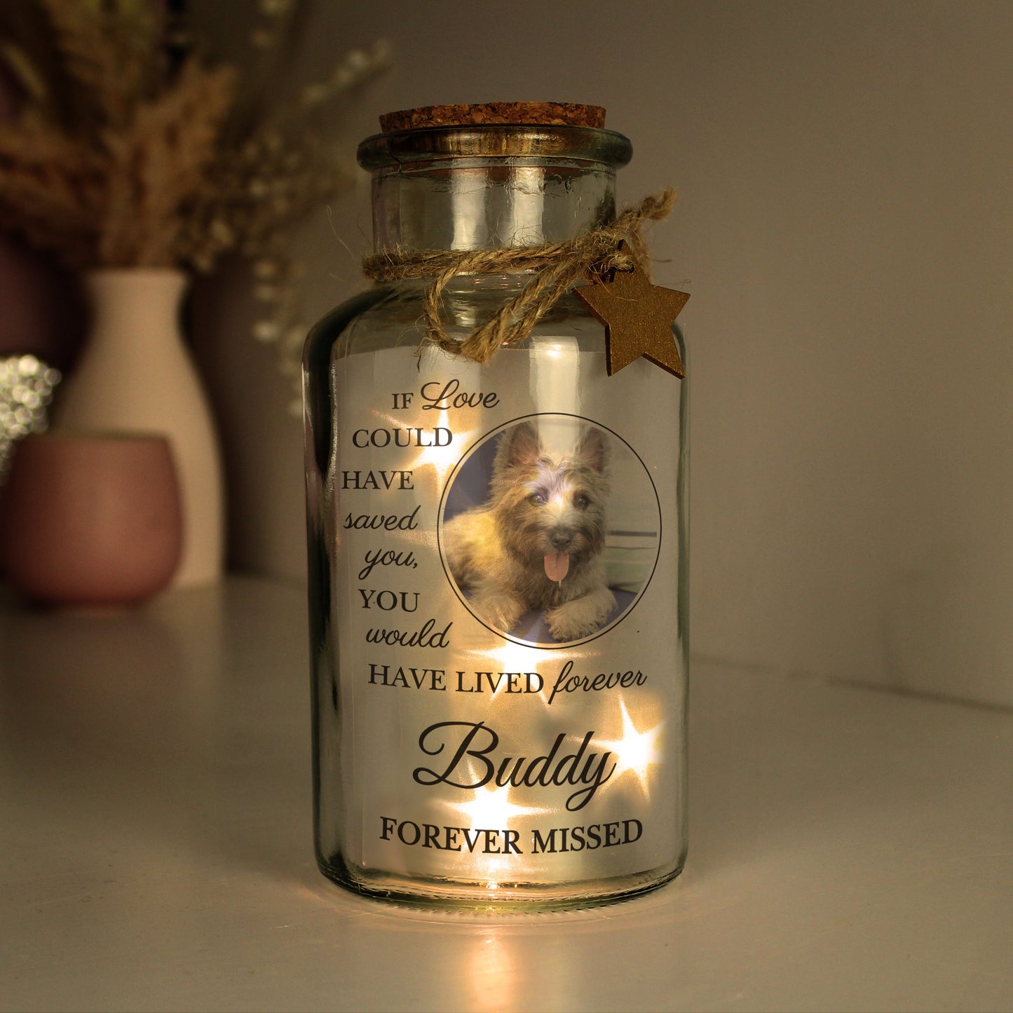 Personalised Pet Memorial Photo LED Jar: 3 - LED Lighting By Gift Moments