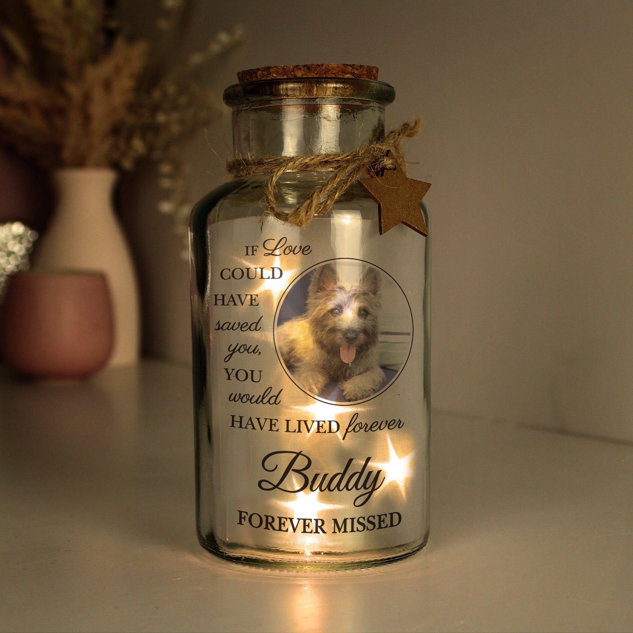 Personalised Pet Memorial Photo LED Jar: 3 - LED Lighting By Gift Moments