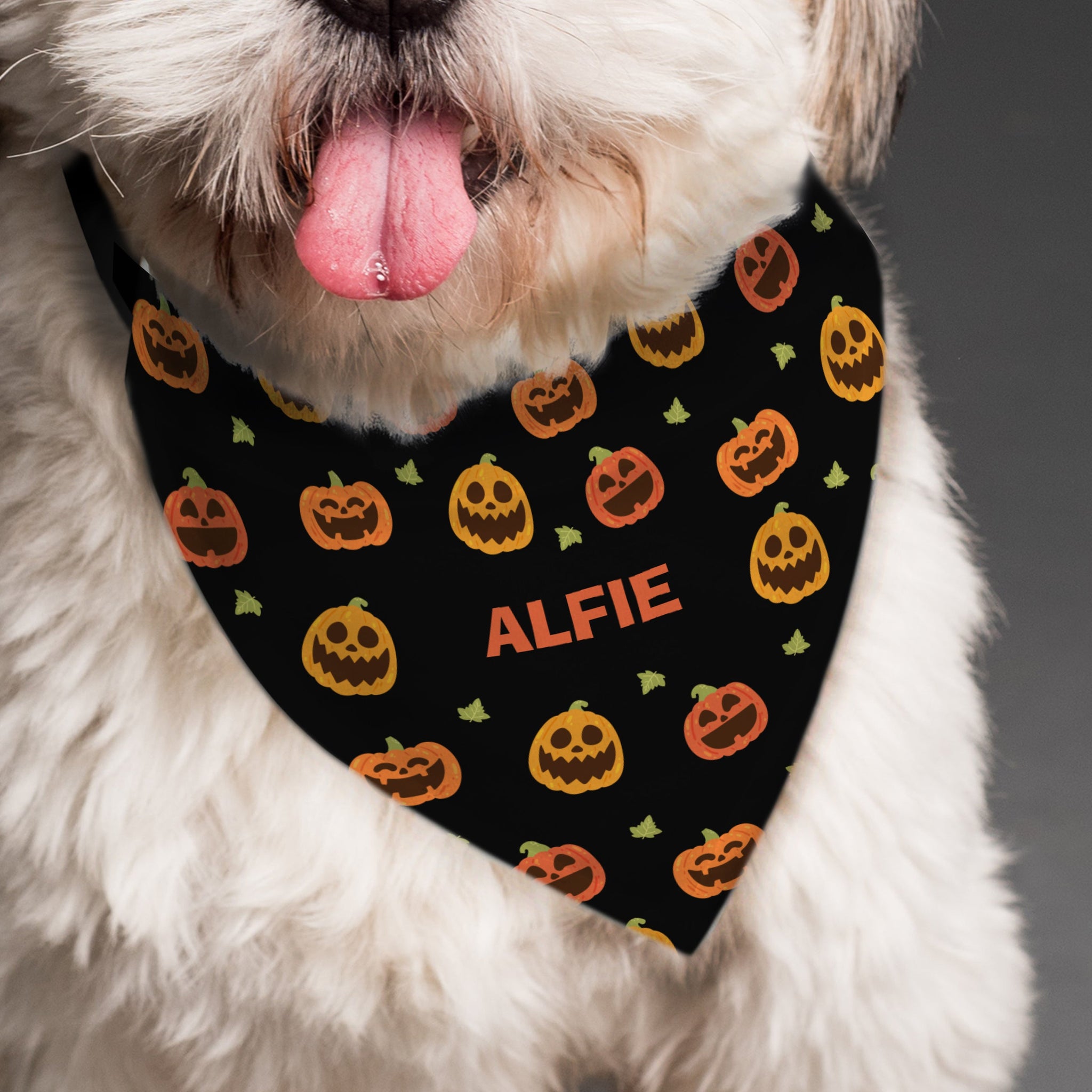 Personalised Pumpkin Patch Dog Bandana: 4 - Pet Products By Gift Moments
