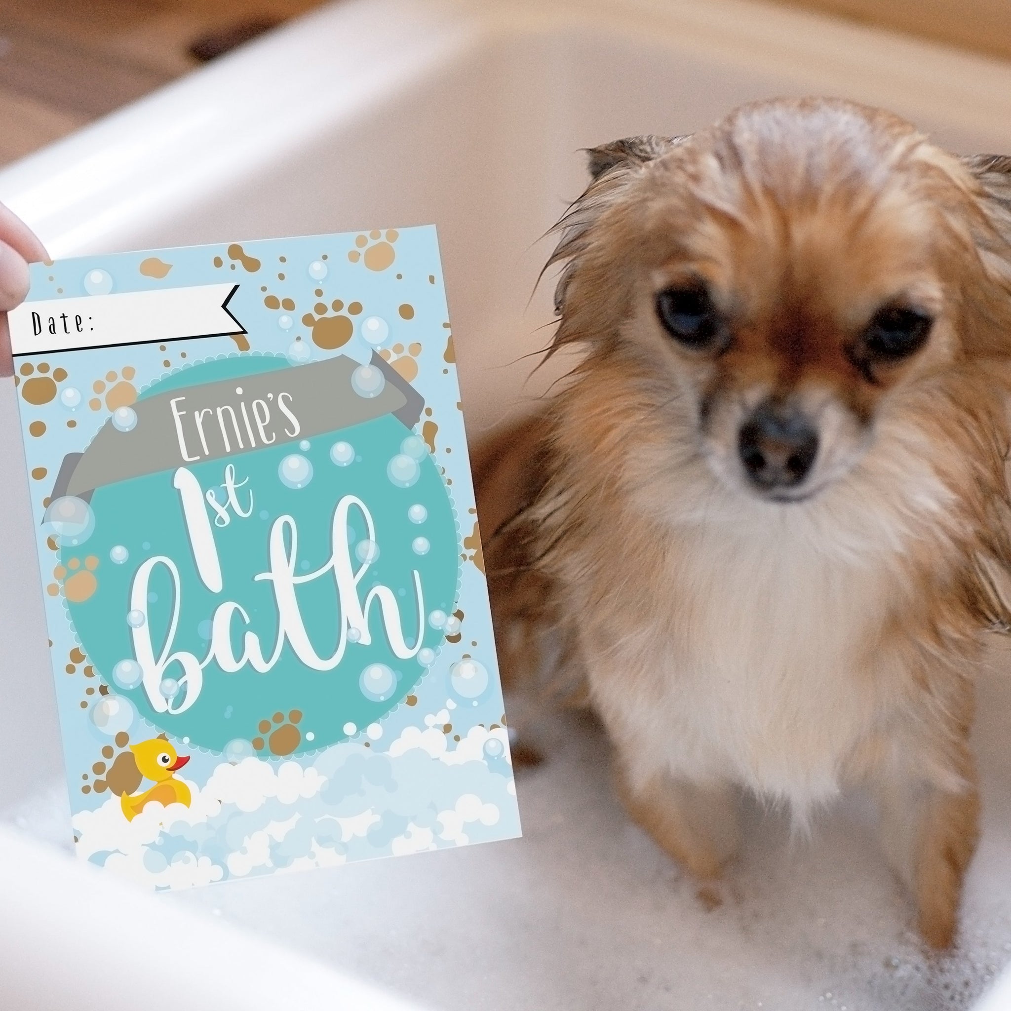 Personalised Puppy Cards: For Milestone Moments: 1 - Keepsakes By Gift Moments