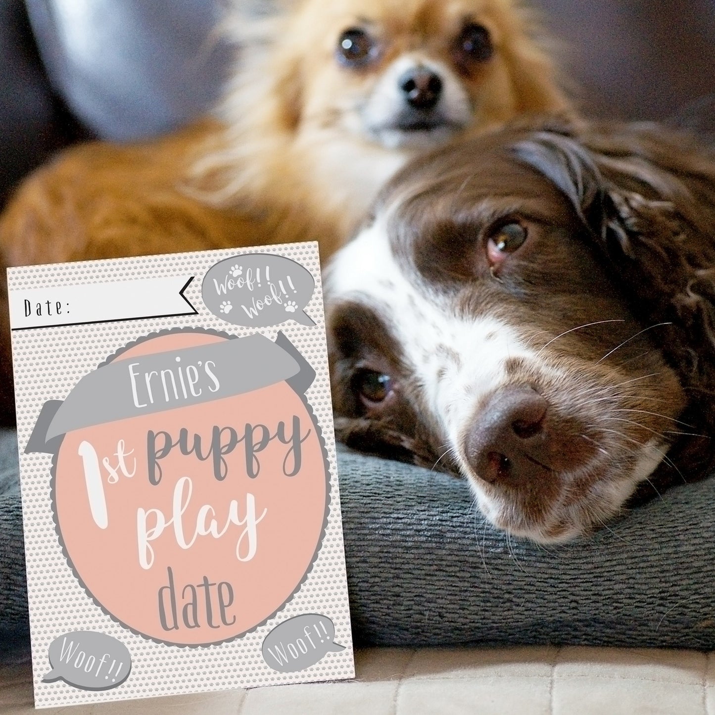 Personalised Puppy Cards: For Milestone Moments: 8 - Keepsakes By Gift Moments